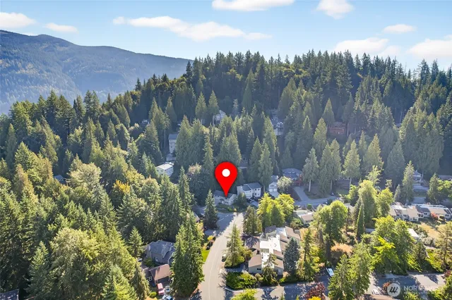 a view of a bunch of trees