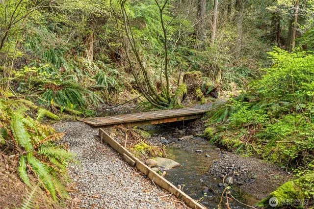 a view of a yard with plants