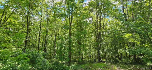 $309,900 | 7599 Highway 97, Narrowsburg, NY 12764