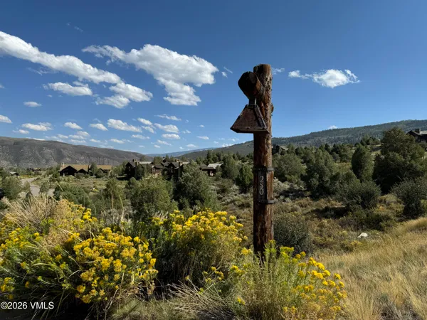 a view of a yard in front of a house