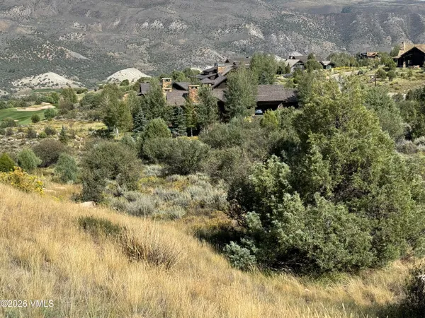 a view of a garden with a plants
