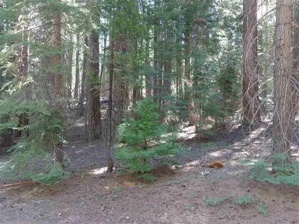 $29,500 | 429 Big Meadows Road, Canyon Dam, CA 95923