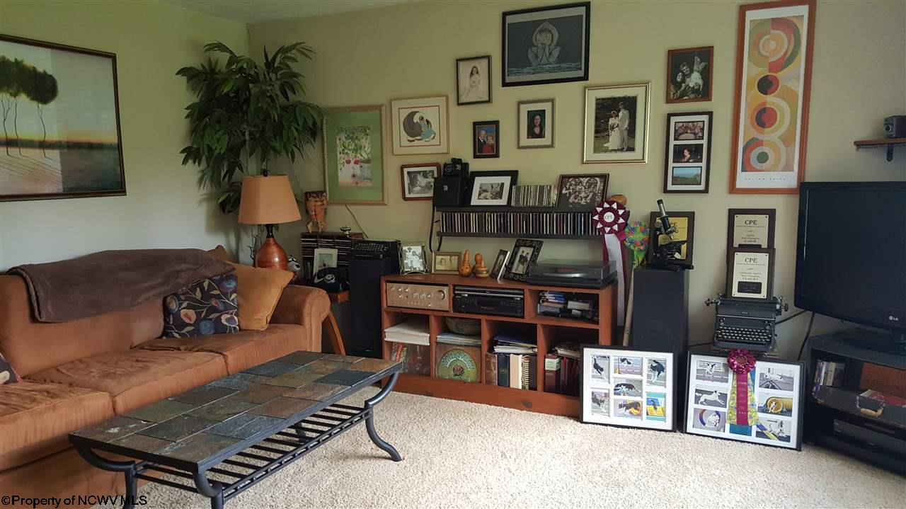 160 Old Sawmill Road Independence, WV 26374 - Photo 12 of 20 Gallery Image 12
