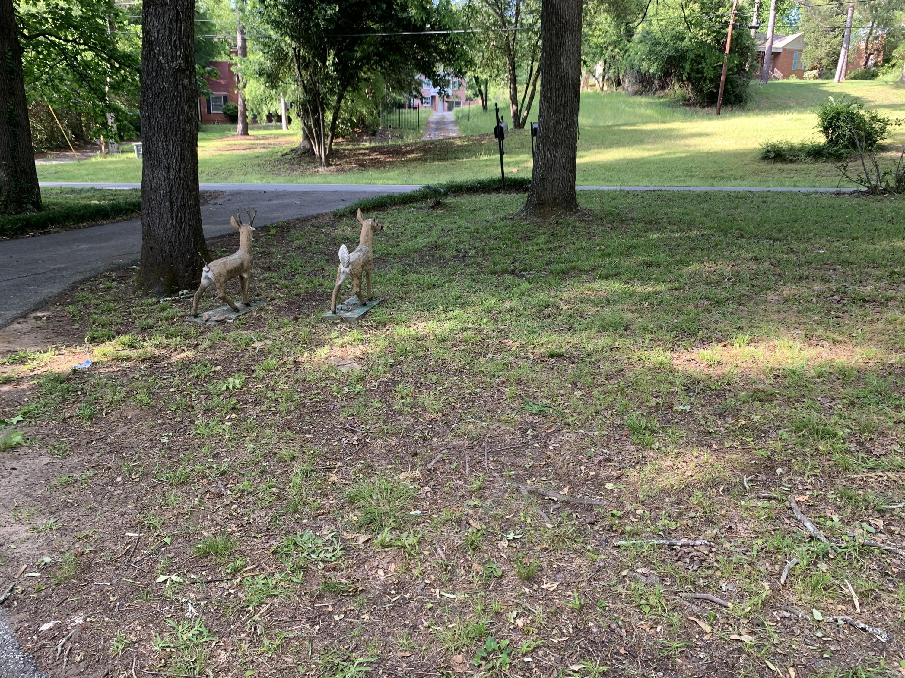 1330 Briarcliff Road Macon, GA 31211 - Photo 13 of 47 Briarcliff front yard deer