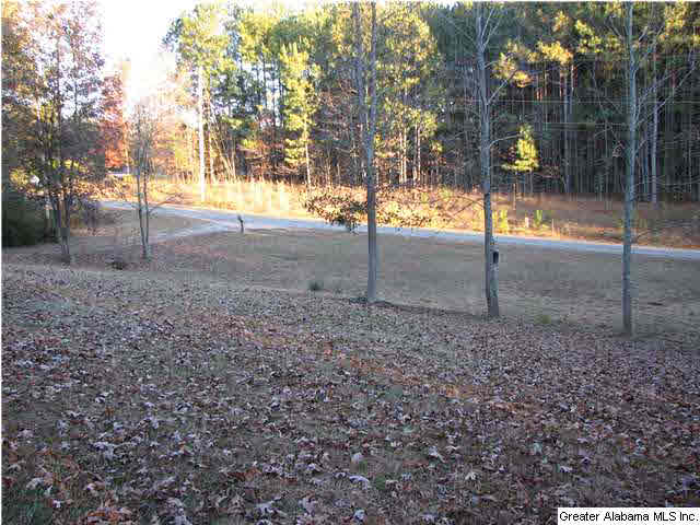 573 Arrowhead Road Jasper, AL 35503 - Photo 8 of 12