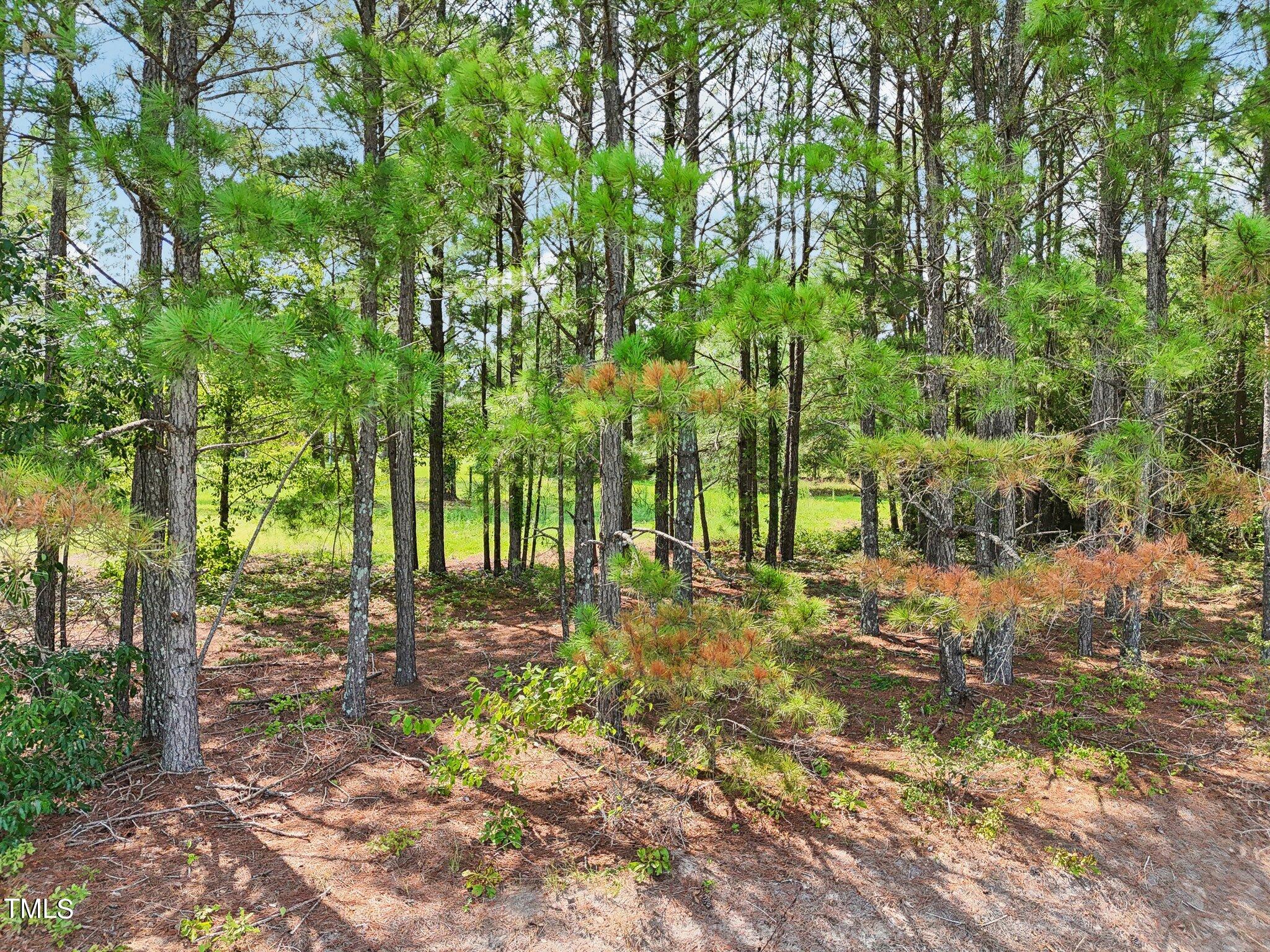 525 Juniper Church Road Four Oaks, NC 27524 - Photo 6 of 17 Juniper Church Rd-001