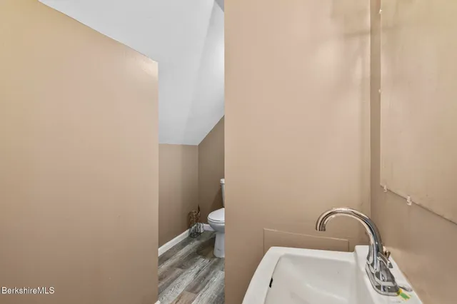 a bathroom with a sink and a toilet