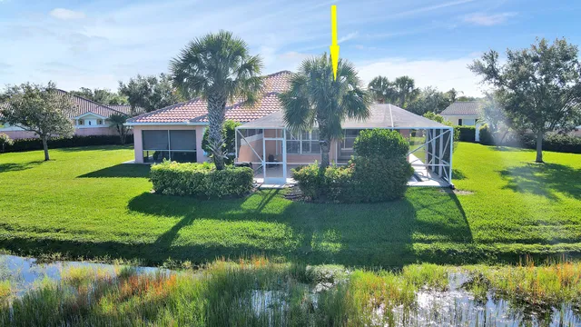 a swimming pool with some trees in the background