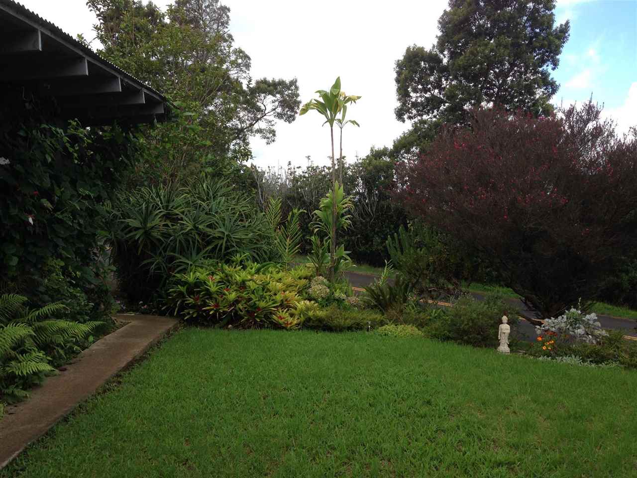 339 Ainakula Road Kula, HI 96790 - Photo 11 of 20 a view of yard with green space
