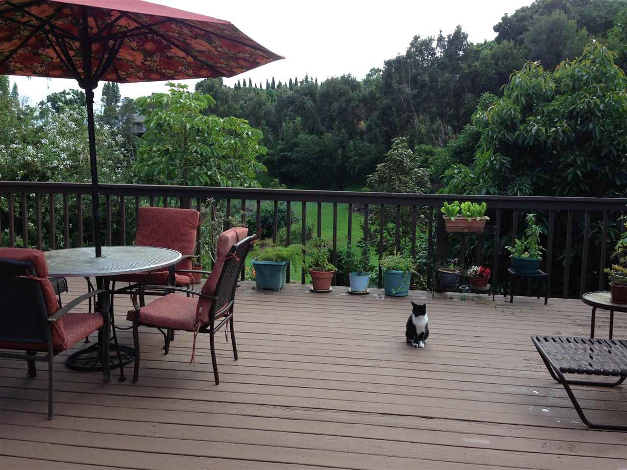 339 Ainakula Road Kula, HI 96790 - Photo 18 of 20 a view of a chairs and tables in the patio