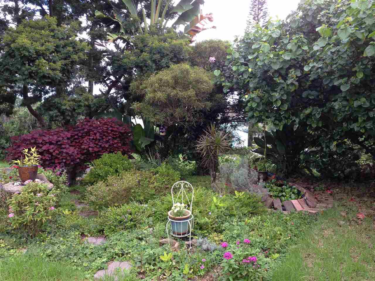 339 Ainakula Road Kula, HI 96790 - Photo 10 of 20 a garden view