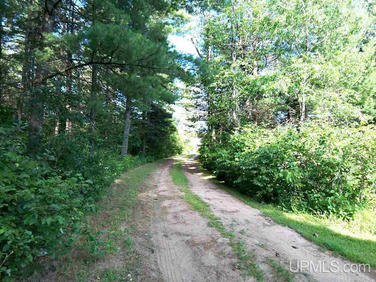 17835 North Holmes Junction Plat Road West Pembine, WI 54156 - Photo 29 of 29