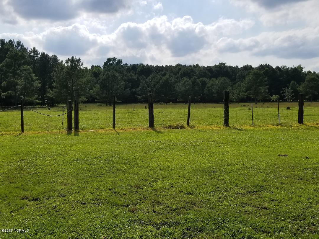 2540 Rogerson Road Robersonville, NC 27871 - Photo 7 of 9 Rogerson8