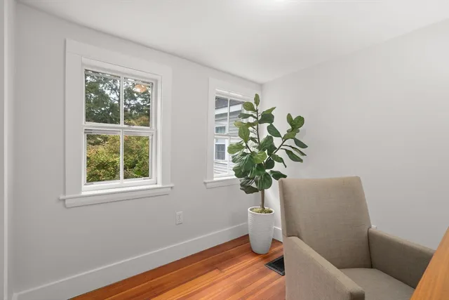 a room with a potted plant and a window