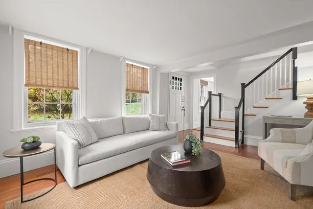 a living room with furniture and a potted plant