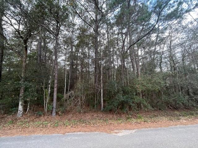 0 Howard O'berry Road Pearl River, LA 70452 - Photo 3 of 7