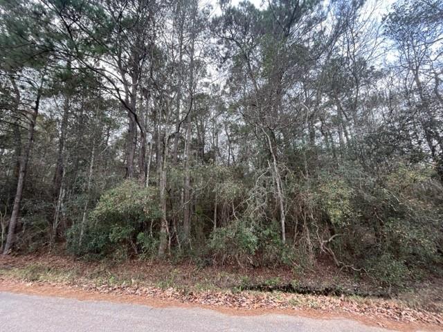 0 Howard O'berry Road Pearl River, LA 70452 - Photo 4 of 7