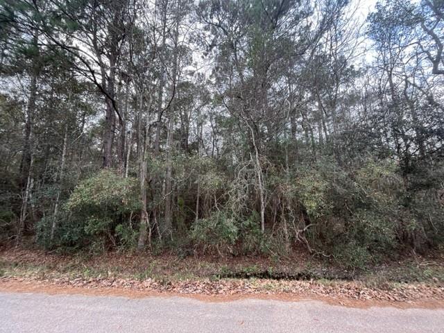 0 Howard O'berry Road Pearl River, LA 70452 - Photo 5 of 7