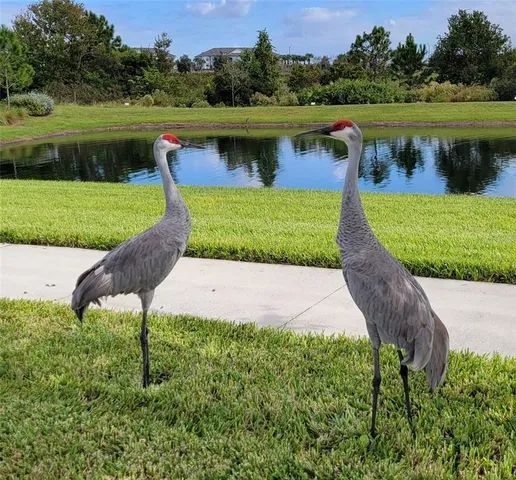 $3,650 | 9753 Lost Creek Drive, Winter Garden, FL 34787