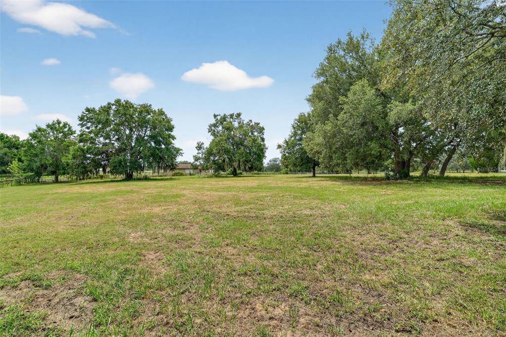 10422 Em En El Grove Road Leesburg, FL 34788 - Photo 9 of 41 Gallery Image 9