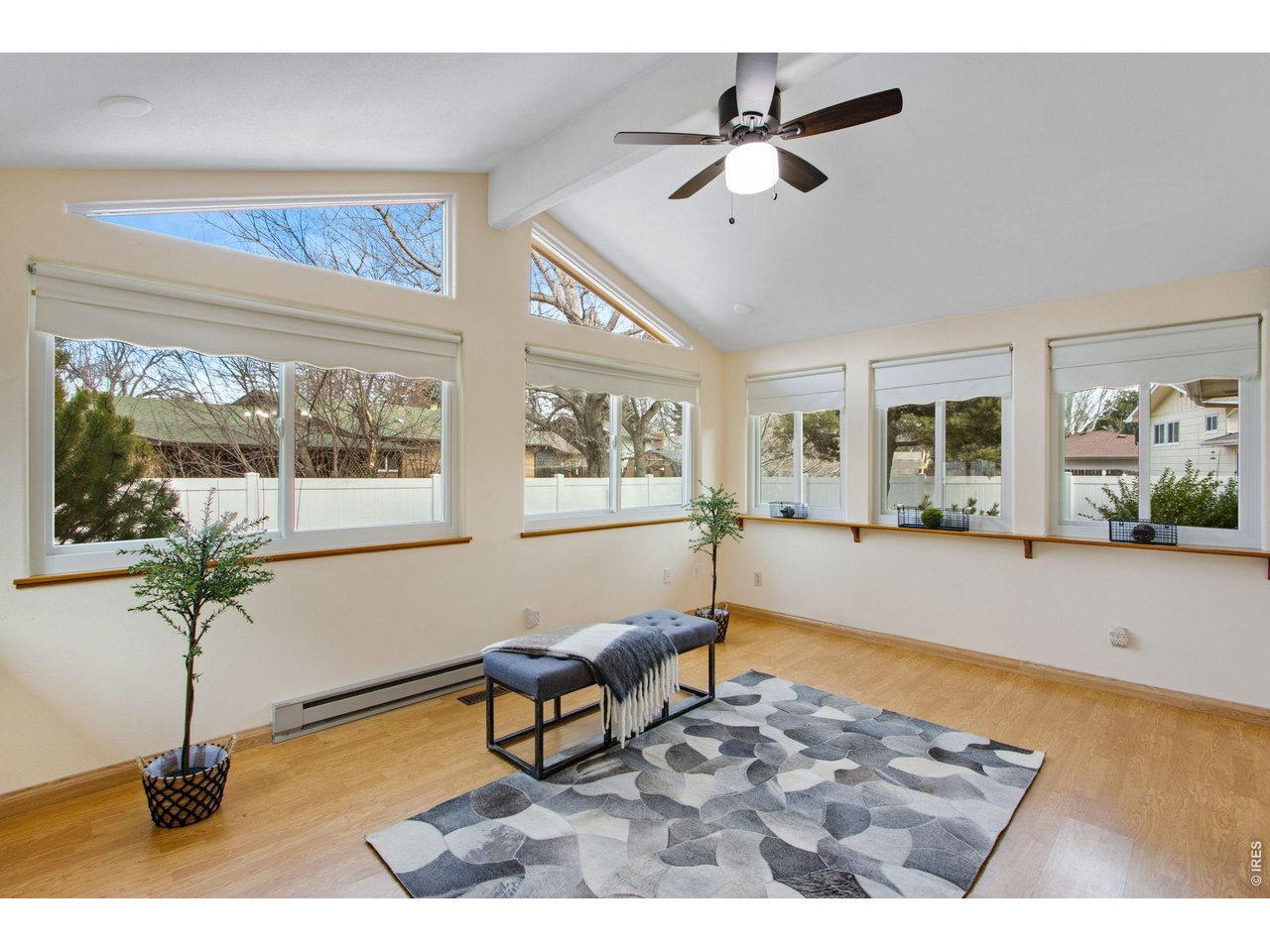 300 Ruth Street Fort Collins, CO 80525 - Photo 13 of 37 a living room with furniture and a potted plant