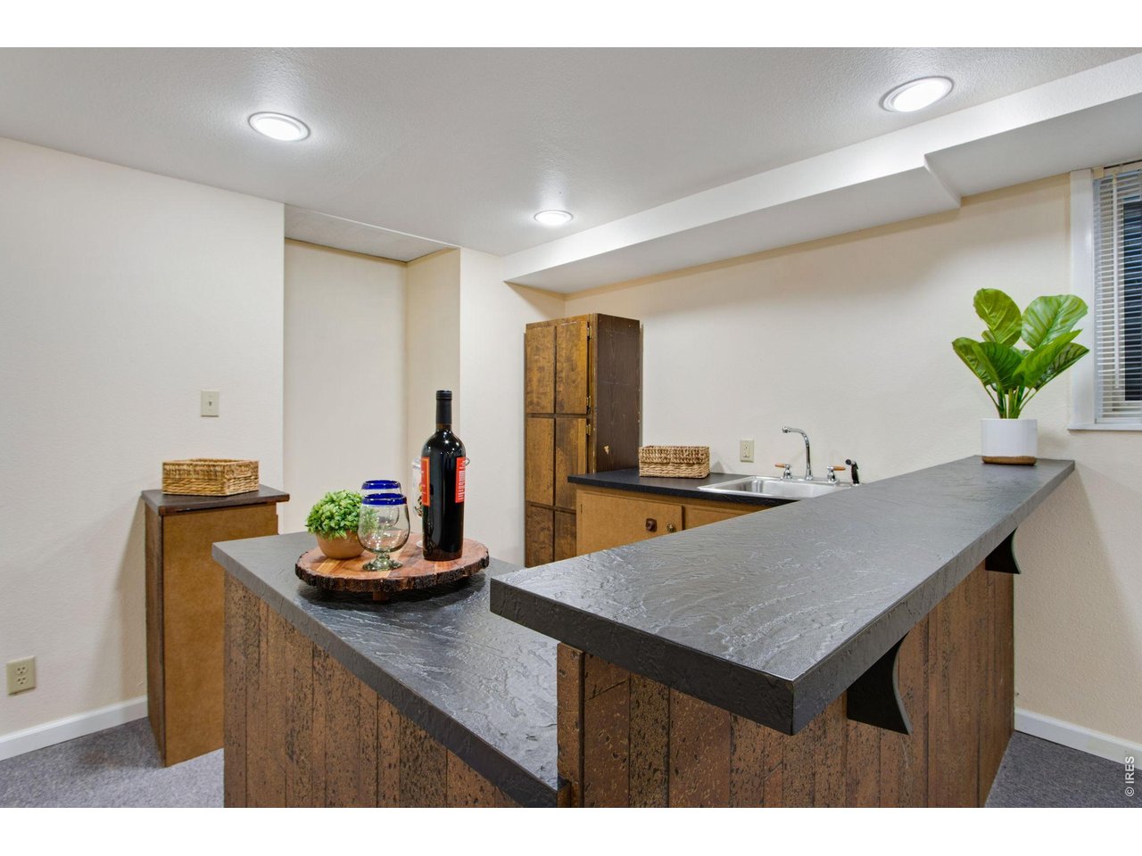 300 Ruth Street Fort Collins, CO 80525 - Photo 30 of 37 a room with a table potted plant and wooden floor