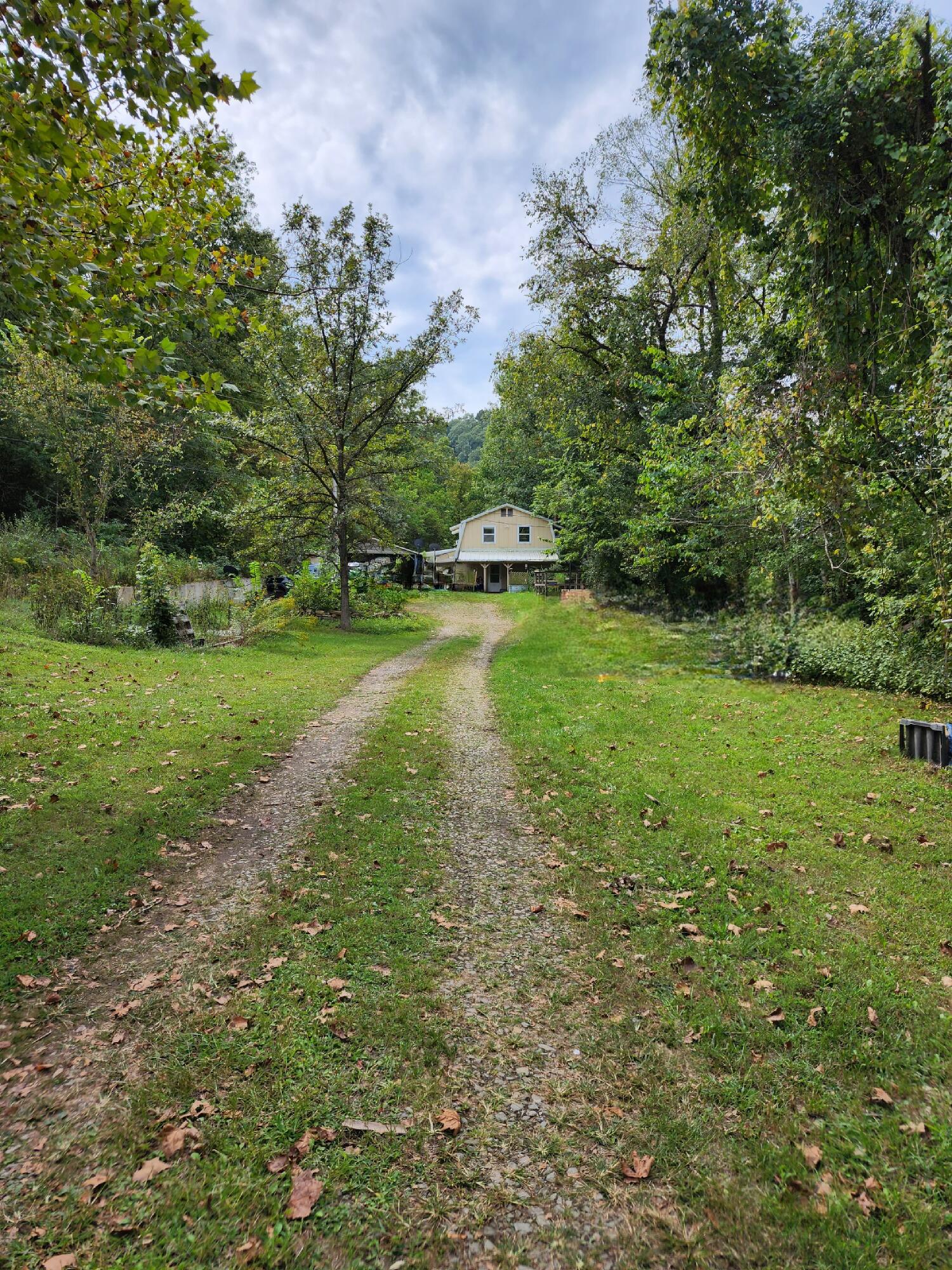 230 Rr 2 Road Ava, MO 65608 - Photo 1 of 1 Front Driveway