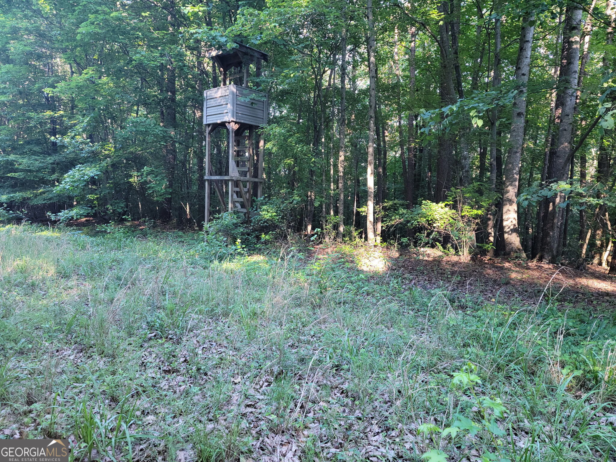 833 Neal Gap Road Summerville, GA 30747 - Photo 81 of 86