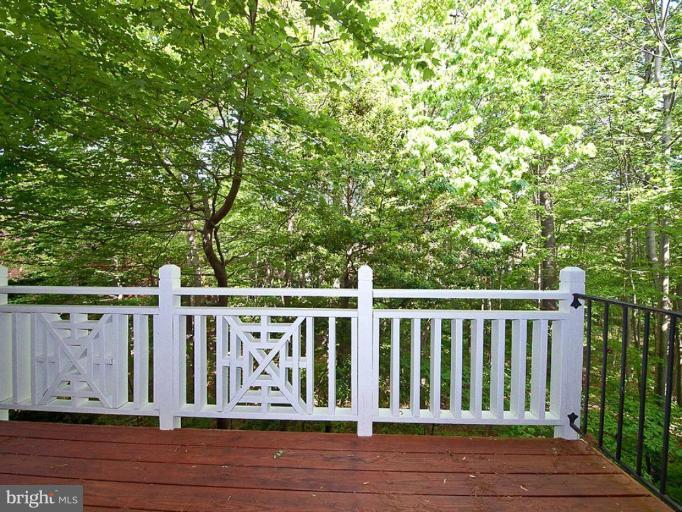 11500 Waterhaven Court Reston, VA 20190 - Photo 3 of 21 Deck - View from
