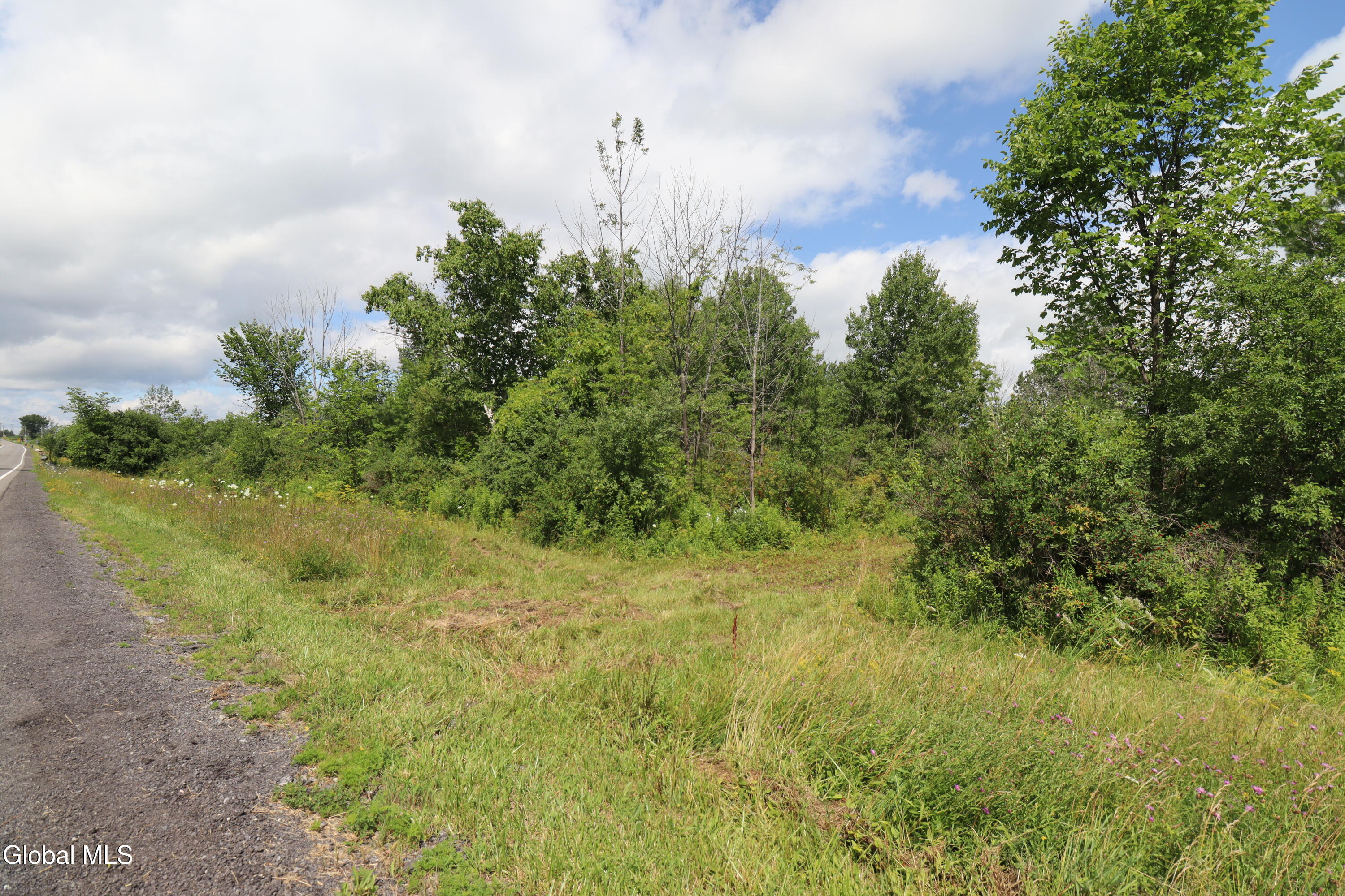 468 Middle Road Delanson, NY 12053 - Photo 7 of 43 IMG_0922