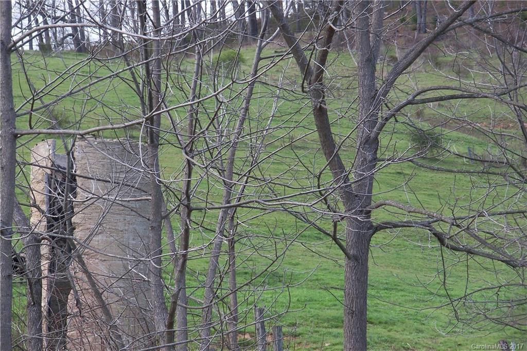 Lot2-2a Terrell Road Clyde, NC 28721 - Photo 3 of 12