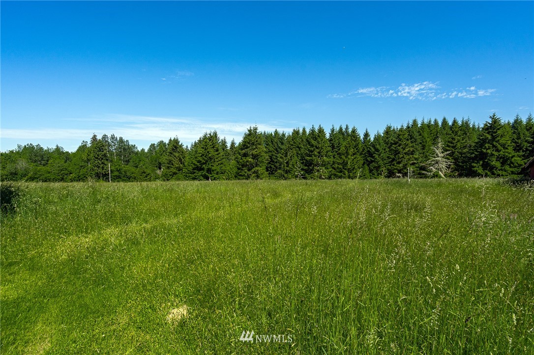 536 Brown Road East Chehalis, WA 98532 - Photo 32 of 38 a view of a field with an outdoor space