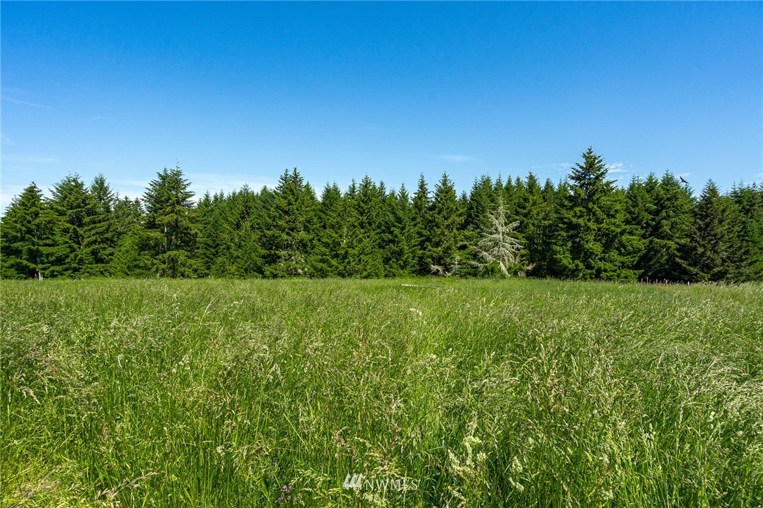 536 Brown Road East Chehalis, WA 98532 - Photo 33 of 38 a view of a field with plants and trees in the background