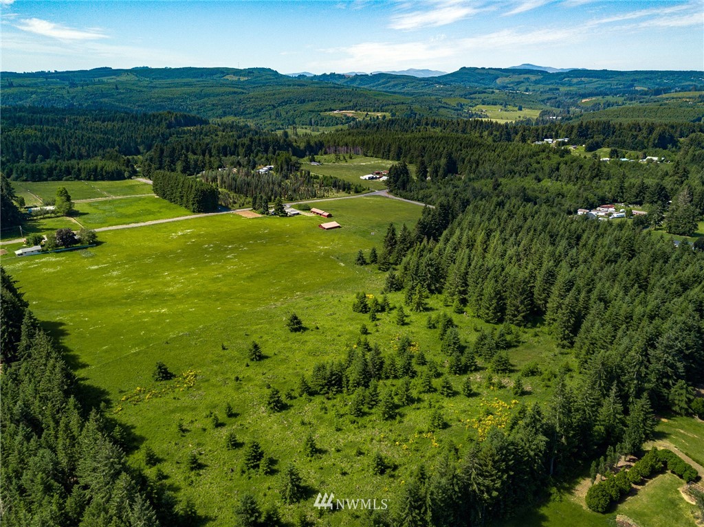 536 Brown Road East Chehalis, WA 98532 - Photo 36 of 38 a view of a lush green hillside and houses