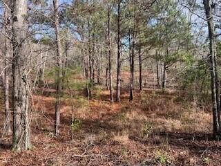 3365 Columbia Highway North Ridge Spring, SC 29129 - Photo 5 of 5