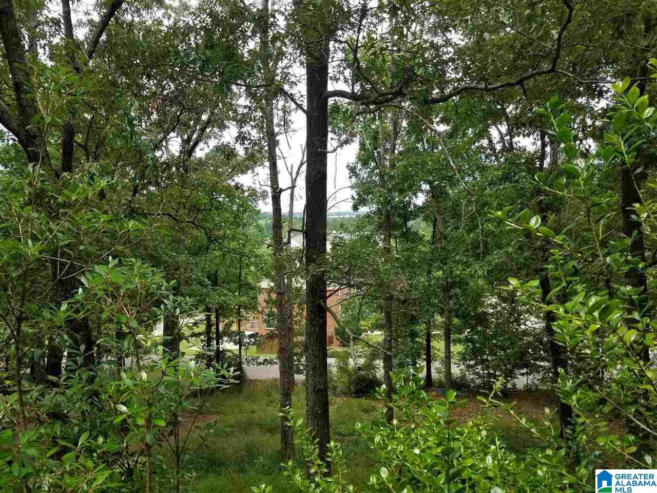 3683 Cahaba Beach Road Birmingham, AL 35242 - Photo 29 of 29