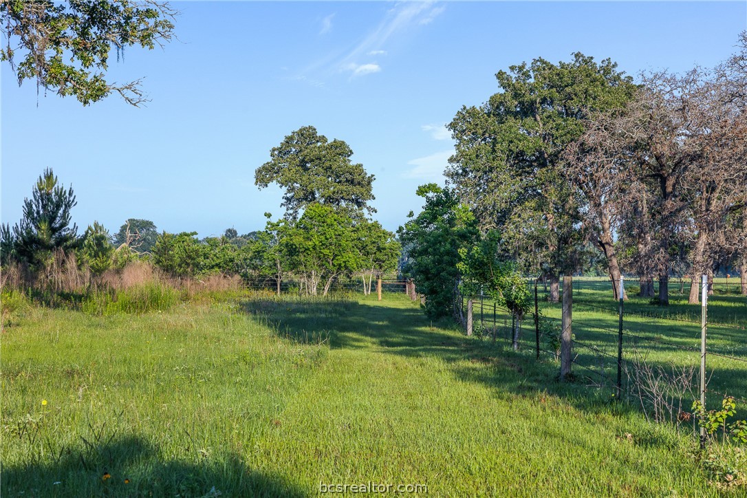 26795 Rice Road Hockley, TX 77447 - Photo 8 of 19 a garden with trees in front of it