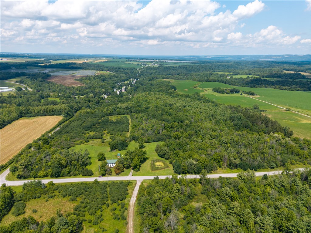 2919 Wildcat Road Mount Morris, NY 14510 - Photo 32 of 37 Gallery Image 32