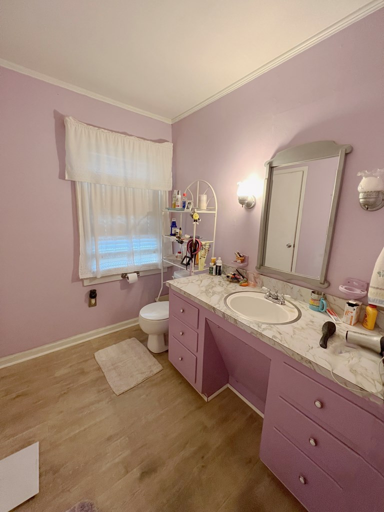 733 Stumphole Road Elloree, SC 29047 - Photo 16 of 18 Gallery Image 16