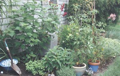 15 Elgin Road Pocasset, MA 02559 - Photo 28 of 29