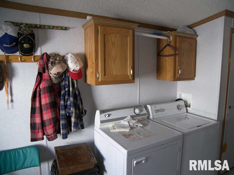 201 1st Street Ina, IL 62846 - Photo 8 of 16