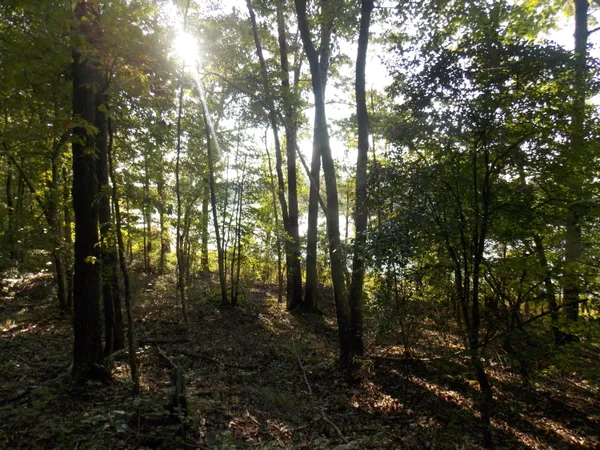 $23,000 | 59 Westwind Harbour Road, Lincolnton, GA 30817