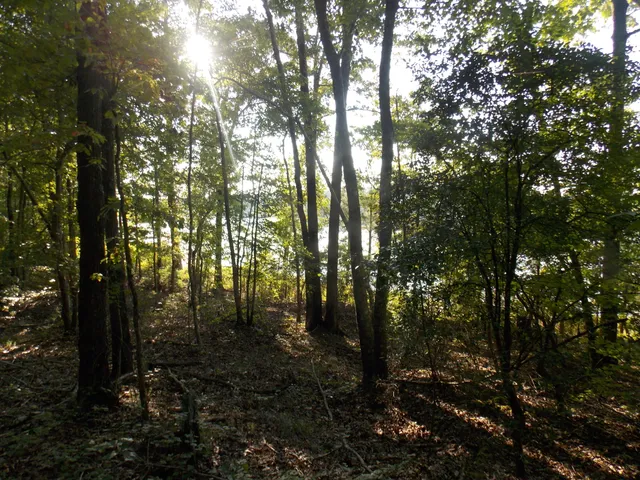 $25,000 | 59 Westwind Harbour Road, Lincolnton, GA 30817