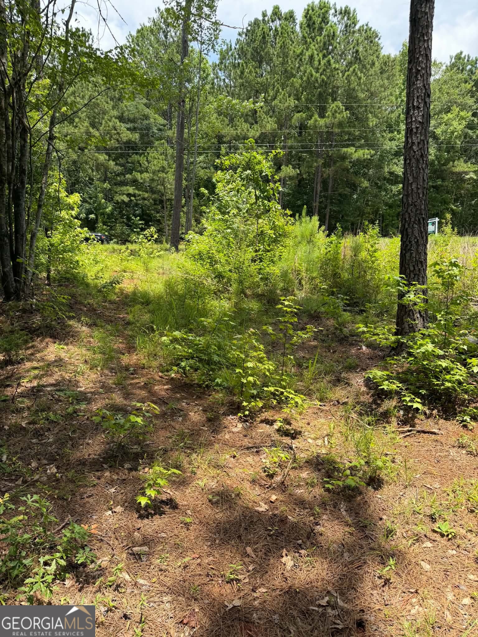 0 Whatley North Road LaGrange, GA 30240 - Photo 9 of 11