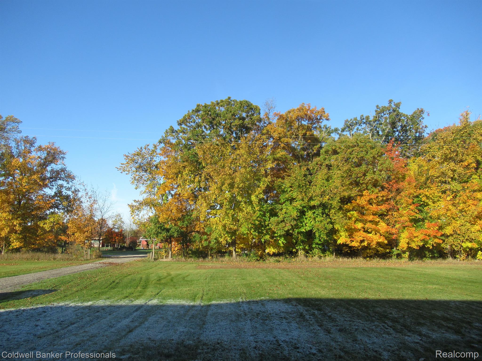 3168 Wade Road Capac, MI 48014 - Photo 4 of 17 Gallery Image 4