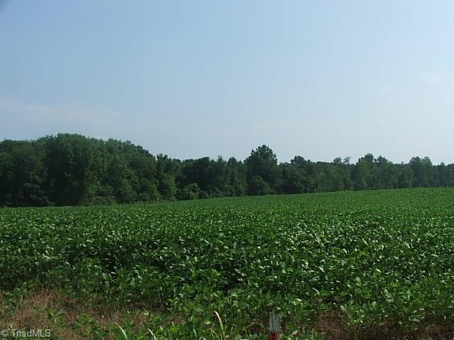 0 Ridge Road Dobson, NC 27017 - Photo 3 of 5 Open field when it was planted in soybeans.