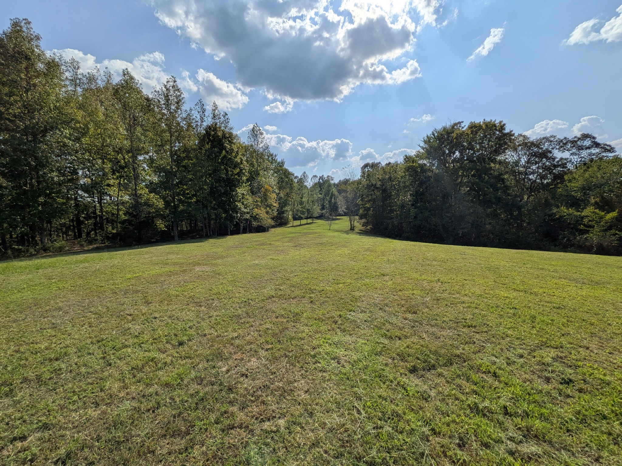 319 North Chisholm Creek Road Lawrenceburg, TN 38464 - Photo 11 of 64 a view of a field with an trees in the background