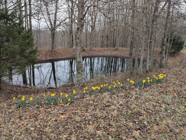 $225,000 | 319 North Chisholm Creek Road, Lawrenceburg, TN 38464