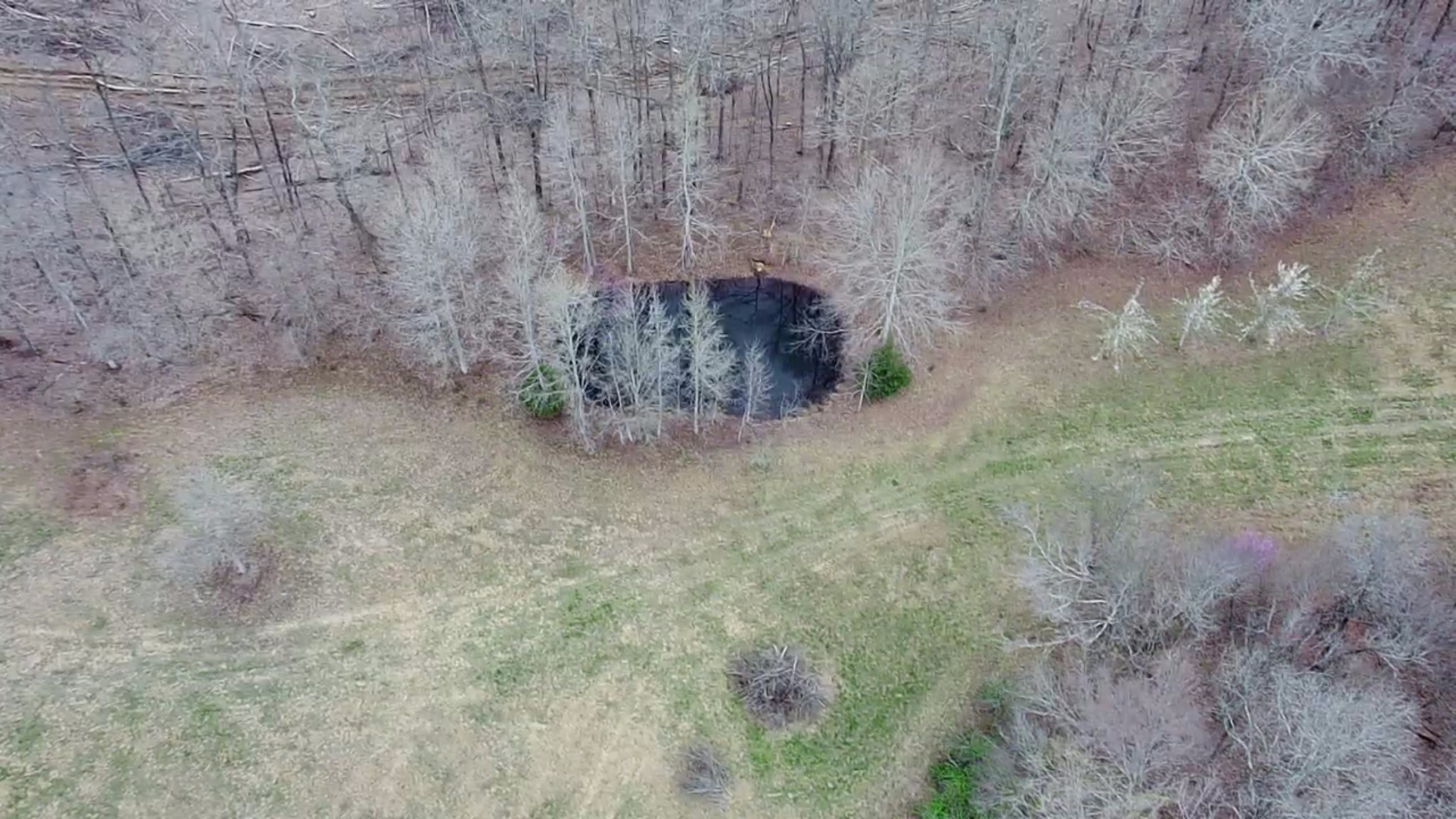 319 North Chisholm Creek Road Lawrenceburg, TN 38464 - Photo 17 of 64