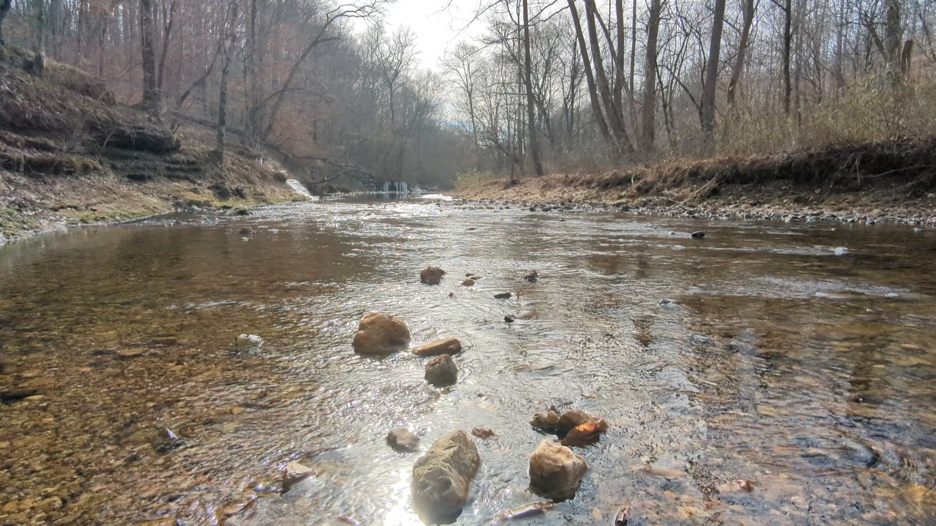 319 North Chisholm Creek Road Lawrenceburg, TN 38464 - Photo 2 of 64 a view of the wooden floor